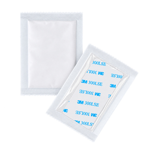 Poudre déshydratante de chlorure de magnésium 10g pour phares de voiture, anti-buée, absorbant l'humidité, agent de séchage pour lampe automobile - Product Image 2