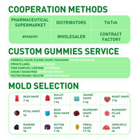 Usine OEM/ODM – Nouveaux Gummies pour le Sommeil 10mg, Saveur Fruitée Naturelle, Sans Médicament, Sans Sucre, Différents Types, 60 Unités