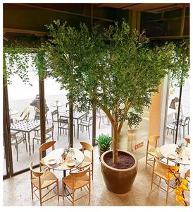 Olla de <span class=keywords><strong>olivo</strong></span> artificial para interiores, personalizada, para el hogar, hotel, <span class=keywords><strong>interior</strong></span>, restaurante, hoteles, flores decorativas para interiores, plantas, para el hogar, el hotel, el <span class=keywords><strong>interior</strong></span> - Product Image 2