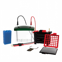 BIOSTELLAR WBG-ZY04 4-Gel Mini Western Blot Transfer Tank mit Platin-Elektroden, Kühlbox und Acryl-Kammer – Direkt vom Hersteller