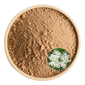 Estratto Puro di Bacche di Sambuco Nigra Certificato HACCP ISO Servizio Personalizzato per la Crescita del Brand in Tutte le Categorie - Product Image 1