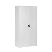 Vente en gros de meubles de bureau d'usine armoire de rangement moderne à 2 portes en métal pour documents armoire de classement en acier pour la maison/le bureau/l'école