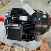 60 PS Hitzebeständiger, hochwertiger Drehstrom-50-Hz-Inverter-Asynchronmotor der NEMA-Serie für Kondensatorlüfteranwendungen, Standfußmontage