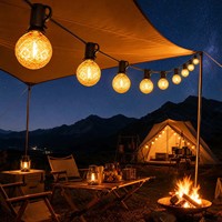 Guirlande lumineuse solaire G40, étanche IP65, lumière chaude 2200K, 8 modes, charge USB Type-C, télécommande