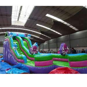 Tobogán Inflable de PVC Resistente para Parque Acuático, Diseño Nuevo a Precio de Fábrica, Tobogán Inflable de Medusas para Niños y Adultos - Product Image 5