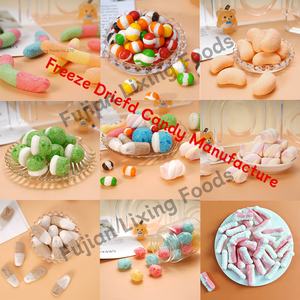 Private Label Company's Wholesale Freeze Dried Sour Gummy Worms <strong>Candy</strong> Fruity Flavor Piece Pattern - Product Image 2