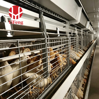 Cage d'élevage de poussins de type H commerciale, équipement avicole automatique avec 3, 4 ou 5 niveaux et gestion agricole simplifiée