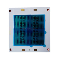 Diode électroluminescente à lumière rouge lointaine 150-500 W 730 nm 740 nm LED infrarouges proches 850 nm 940 nm Puce LED IR COB haute puissance 200 W 300 W 400 W 500 W