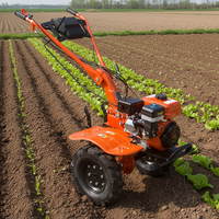 Taizhou JC-G170F moteur à essence cultivateurs agricole petit sarcleur 7hp Triller équipement agricole