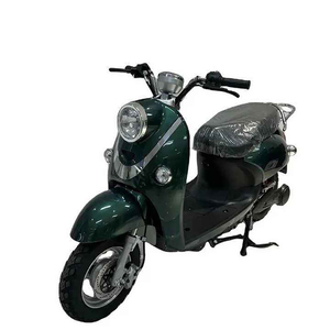 Moto électrique 1500W à trois roues, pneus larges, style rétro enduro, pour adultes - Product Image 1