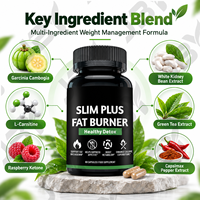 Complément Brûleur de Graisse à Marque Blanche avec Garcinia Cambogia, Thé Vert, L-Carnitine, Bloqueur de Glucides, Capsules de Soutien Métabolique