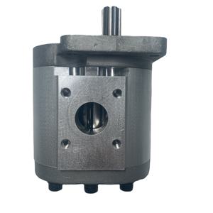 Pompe à engrenages double haute pression pour carburant diesel HuamaoChina OEM Factory Direct CBNF563-BFHL - Product Image 6