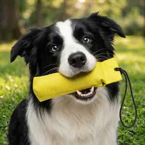 Juguete Interactivo para Perros Muker, Juego de Juguetes Masticables para Perros, Color Personalizado con Logotipo, Piel Sintética Duradera, Tamaños S/M/L, Uso en las 4 Estaciones para Deportes al Aire Libre - Product Image 2