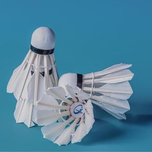 Cầu lông JUNXIN A007 lông ngỗng - Nhẹ, độ ổn định cao, bền nhất, tiêu chuẩn BWF 5g dành cho giải đấu chuyên nghiệp - Product Image 1