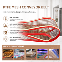 Bande transporteuse en maille PTFE pour équipements de séchage de peinture, fours de revêtement en poudre, machines de pulvérisation et lignes de production de polymérisation