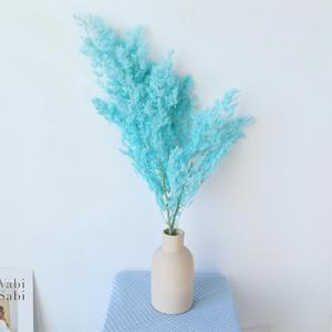 Mousse de renne stabilisée, lichen floral pour artisanat DIY, arrangement floral, <span class=keywords><strong>plante</strong></span> verte naturelle de 60-70 cm pour la décoration intérieure - Product Image 3
