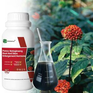 Panax <span class=keywords><strong>Notoginseng</strong></span> Rhizome Agent de charge racine épaisse et forte avec un taux d'absorption élevé résistant à la pourriture des racines Rayons UV Type de compost - Product Image 1