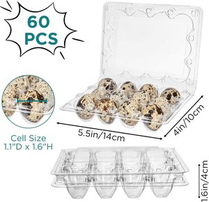 Boîte d'emballage pour œufs de caille en plastique PET transparent à 12 trous, prix d'usine, plateau en plastique pour œufs de caille - Product Image 2