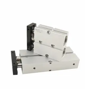 Sample Available Three-sided Installation Wear-resistant Aluminum Alloy Small Twin Rod Pneumatic Cylinder