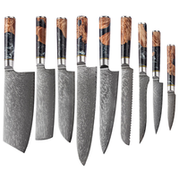 Ensemble de couteaux en acier Damas 9 pièces pour cuisine : Chef, Santoku, Pain, Éplucheur, Désosseur, Utilitaire, avec manche en bois et résine, professionnel