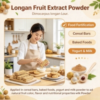 Poudre d'extrait de fruit de longane 20:1 10:1 soluble dans l'eau pour complément alimentaire, usine avec 14 ans d'expérience, 10:1, 20:1, soluble dans l'eau