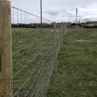 Vente en gros de nouveaux matériaux, clôture de terrain en herbe multifonctionnelle galvanisée électrique, structure solide, hauteur de 4 pieds, 6 pieds, 8 pieds, antirouille