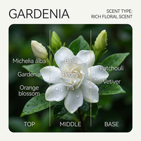 Diffuseur de roseaux Gardenia 100ml, parfum floral avec patchouli et fleur d'oranger pour chambre et maison