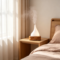 Petit diffuseur d'arômes à grain de bois, humidificateur ultrasonique d'huiles essentielles, machine d'aromathérapie pour bureau, maison et chambre