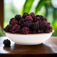 OEM Gefroren Gedroogde Zwarte Bessen, Gehele Vruchten, Gefroren Gedroogde Zwarte Bessen voor Taart, Gedroogd Fruit