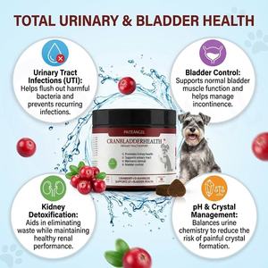Thức ăn bổ sung đường tiết niệu cho chó công thức riêng, chiết xuất quả nam việt quất, D-Mannose, rễ cây Marshmallow dạng nhai, giúp giảm viêm đường tiết niệu & tốt cho sức khỏe bàng quang, nhãn hiệu riêng - Product Image 1
