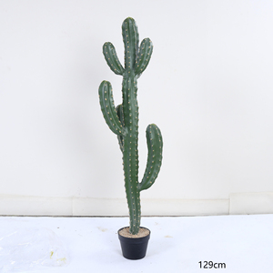 Plante de <span class=keywords><strong>cactus</strong></span> en plastique pour décoration de jardin, bureau, maison, plantes artificielles, décoration, arbres artificiels - Product Image 2