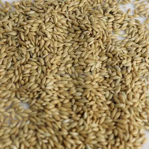 Toplu kanarya tohumu darı küçük boy ayçiçeği çekirdeği Mix Budgie tohum