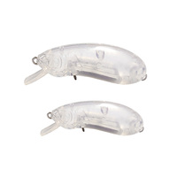 Nouvelle conception Raylor 45mm 5.5g/55mm 8.4g Leurre Minnow flottant et coulant non peint, vierge, pour la pêche en eau douce, yeux lumineux