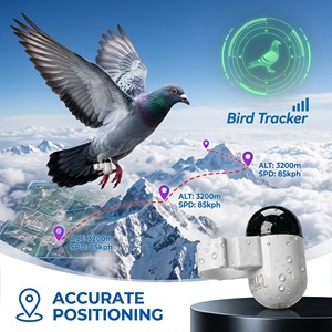 Traceur GPS+LTE Mini Bluetooth pour <span class=keywords><strong>oiseaux</strong></span>, alarme anti-perte 120 dB, étanche IP67, localisateur de position pour animaux de ferme et domestiques, prêt à être expédié - Product Image 2