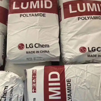 Granulés de nylon LG Chem PA66 LUMID GP2200BW GP2300B(W) GP2300BE Granulés de matière première plastique Poudre de qualité moulée pour fibres