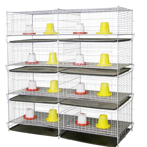 Cage d'élevage avicole moderne automatisée en H, haute capacité pour cailles et poulets de chair - Product Image 4