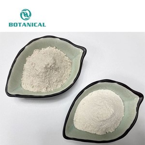 कार्बनिक थोक प्राकृतिक पेसिलियम बीज पाउडर 99% पेसिलियम भूक पाउडर - Product Image 3