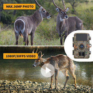 Caméra de piste de <span class=keywords><strong>chasse</strong></span> bon marché avec vision <span class=keywords><strong>nocturne</strong></span> vidéo 1080P/30FPS étanche écran de 1.77 pouces pour la surveillance de la faune - Product Image 5