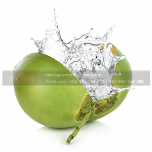 Noix de coco entière fraîche du Viet Nam Grand rond succulent de haute qualité Grade a Shell inclus de nombreux avantages pour l'homme - Product Image 1