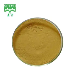 Ginger Extract Powder Free Sample Water Soluble Gingerol Powder 1% Instant Ginger Extract