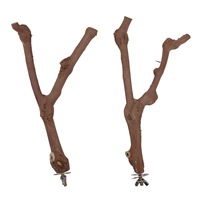 Perchoirs et supports en bois naturel pour oiseaux, bâtons à griffer pour perroquets, branches pour l'entretien et le jeu des oiseaux, en lierre et en pin