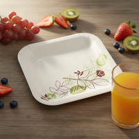 Assiette en papier carrée jetable, biodégradable, écologique, de qualité supérieure, épaisse, empilable, hygiénique, pour pique-nique, événements, service de nourriture, impression personnalisée