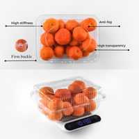 Récipient d'emballage PET clair de fruits frais à clapet carré d'approvisionnement d'usine boîtes d'anneaux perforées en plastique pour tomates, cerises et fruits