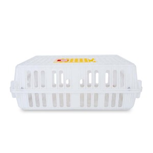 Plastic Chicken Cages For Sale Live Chicken Transport Boxes Poultry Transport Crates