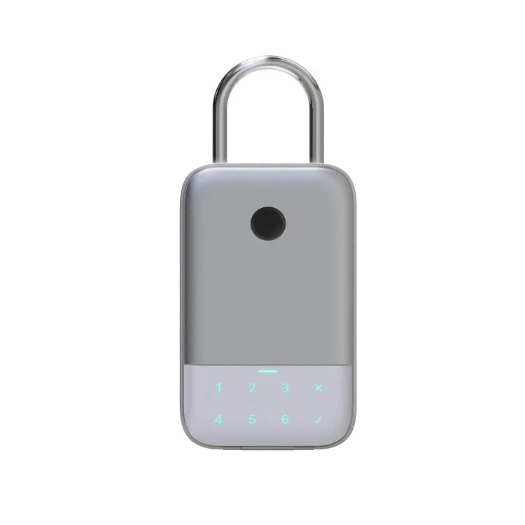 Caja de Seguridad con cerradura electrónica para llaves, caja de seguridad con huella digital para almacenamiento de llaves en casa