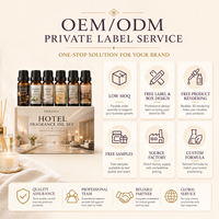 Ensemble d'huiles parfumées pour hôtels à base d'extraits végétaux OEM pour diffuseurs, humidificateurs, fabrication de bougies, boules de bain et autres applications d'aromathérapie