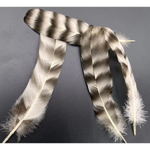 Venta al por Mayor de 50 Piezas/Bolsa de Plumas de Ala de Gallo <span class=keywords><strong>Chinchilla</strong></span> Naturales de 15-20 cm para Sombreros de Carnaval, Manualidades y Decoraciones para Fiestas - Product Image 2