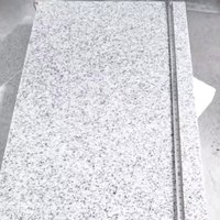 Dalles de pavé en granit gris G603 pour extérieur avec surface flammée, écologiques et durables, garantie 5 ans pour un design de piscine moderne