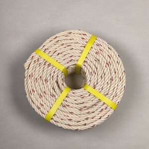 Cuerda de Polipropileno Monofilamento Trenzada China con Cuerda de Embalaje Blanca y Azul de 3 y 4 Hilos, 1/2" 9MM 18MM 32MM - Product Image 3