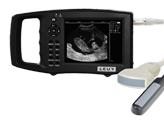 Harga Pabrik Portabel Ultrasound Scanner Kehamilan Uji Kit dengan Probe Ganda untuk Sapi Kuda Babi Kambing Domba Anjing Kucing